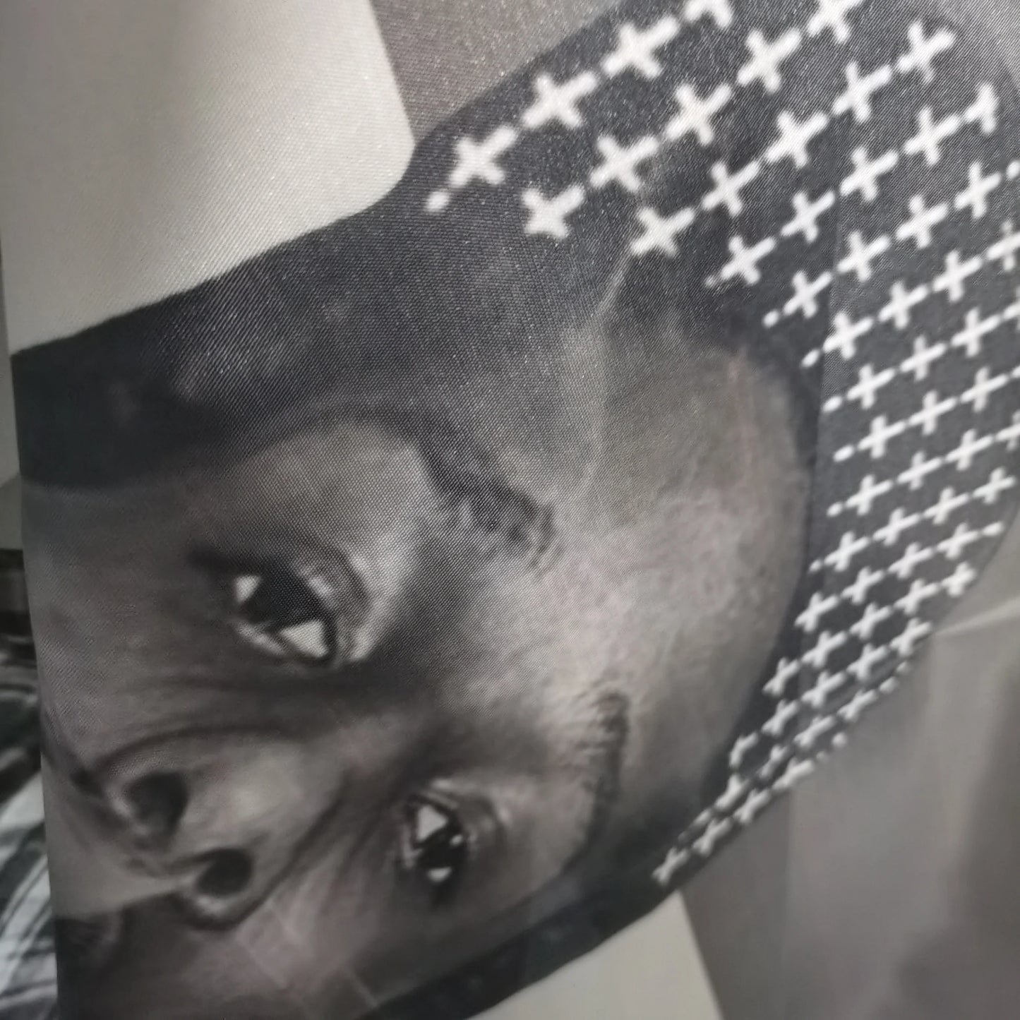 ASAP Rocky Flag Poster — Rapper Room Decor