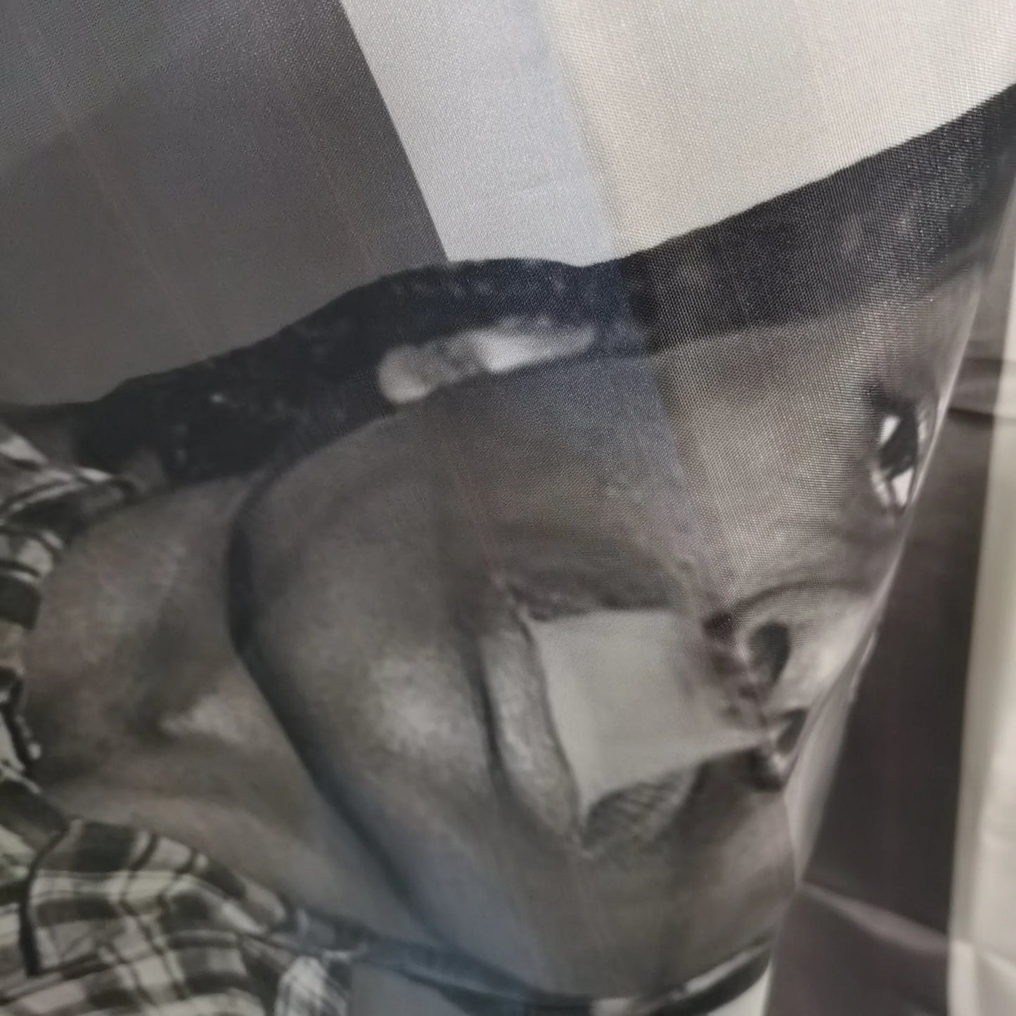 ASAP Rocky Flag Poster — Rapper Room Decor